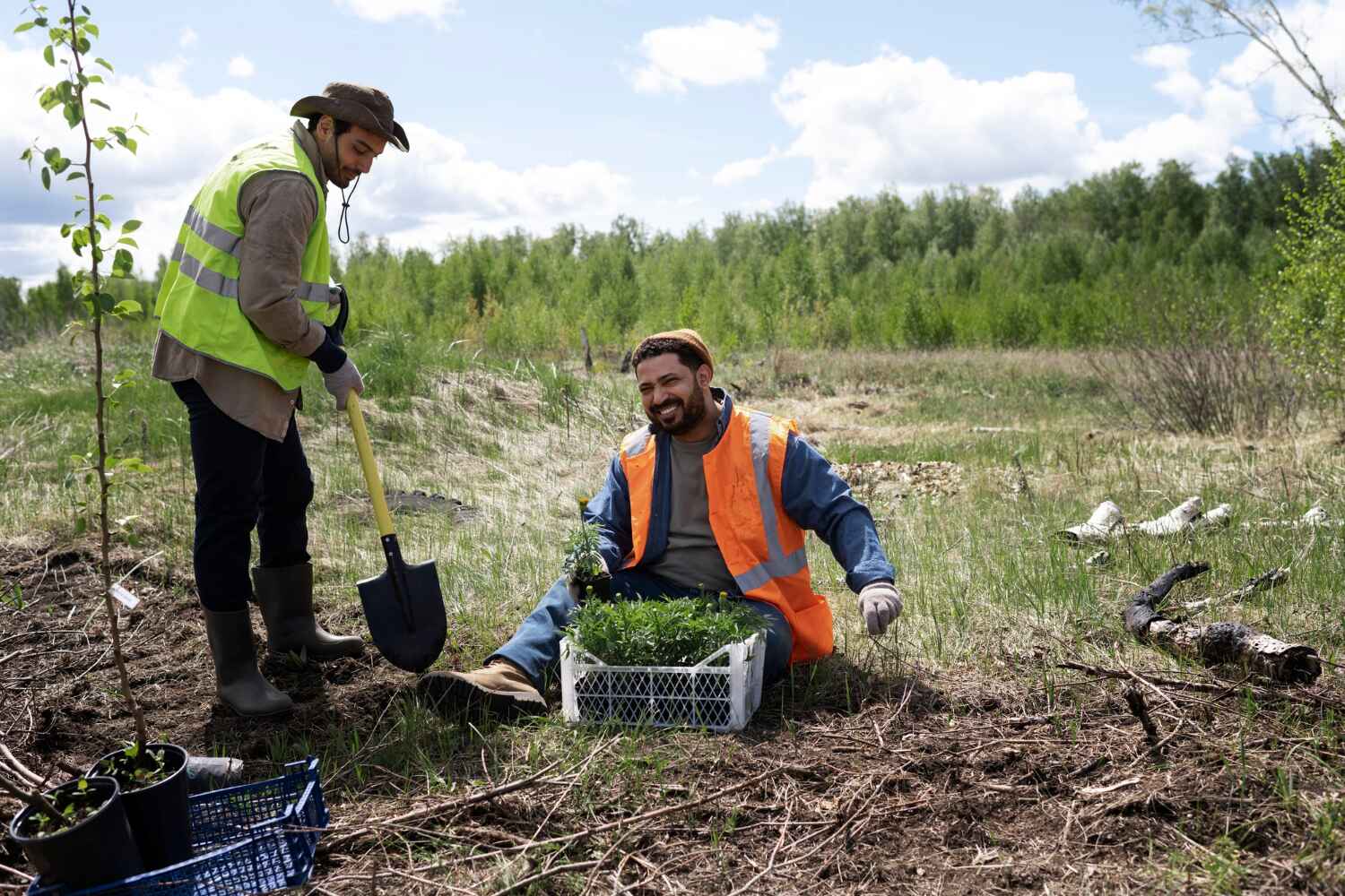 Best Local Tree Services  in Yuipa, CA